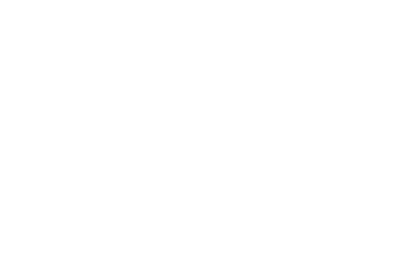 Bits Logotipo Blanco